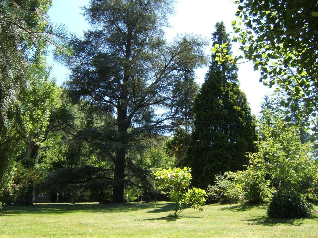 Chambres D'Hotes Chateau De Viviez Εξωτερικό φωτογραφία