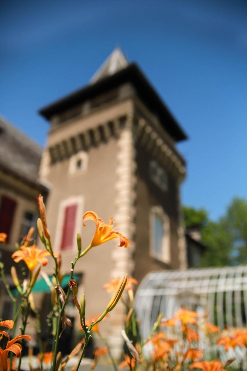 Chambres D'Hotes Chateau De Viviez Εξωτερικό φωτογραφία